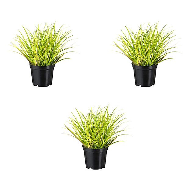 Künstliches Gras im Topf, 20 cm, grün, 3er-Set