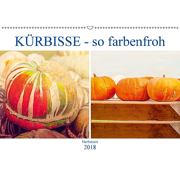 Kürbisse - so farbenfroh (Wandkalender 2018 DIN A2 quer), Liselotte Brunner-Klaus