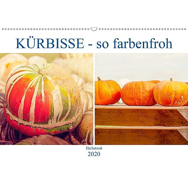 Kürbisse - so farbenfroh (Wandkalender 2020 DIN A2 quer), Liselotte Brunner-Klaus