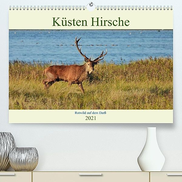 Küsten Hirsche - Rotwild auf dem Darß (Premium, hochwertiger DIN A2 Wandkalender 2021, Kunstdruck in Hochglanz), René Schaack