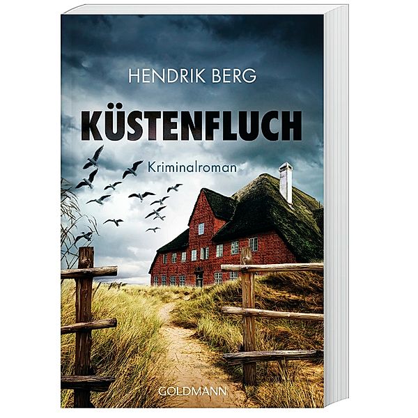 Küstenfluch / Theo Krumme Bd.3, Hendrik Berg