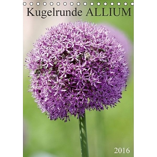 Kugelrunde ALLIUM (Tischkalender 2016 DIN A5 hoch), SchnelleWelten