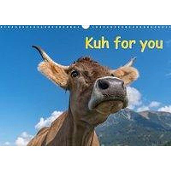 Kuh for you (Wandkalender 2020 DIN A3 quer), Miriam Kaina