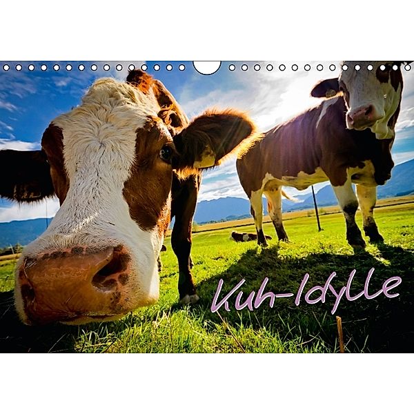 Kuh-Idylle (Wandkalender 2014 DIN A4 quer)