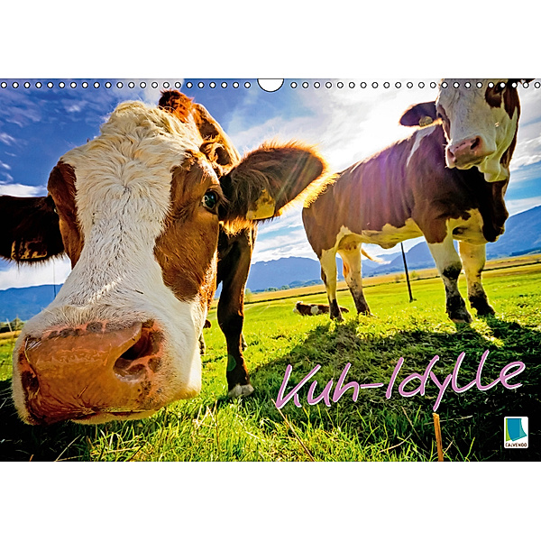 Kuh-Idylle (Wandkalender 2019 DIN A3 quer), Calvendo