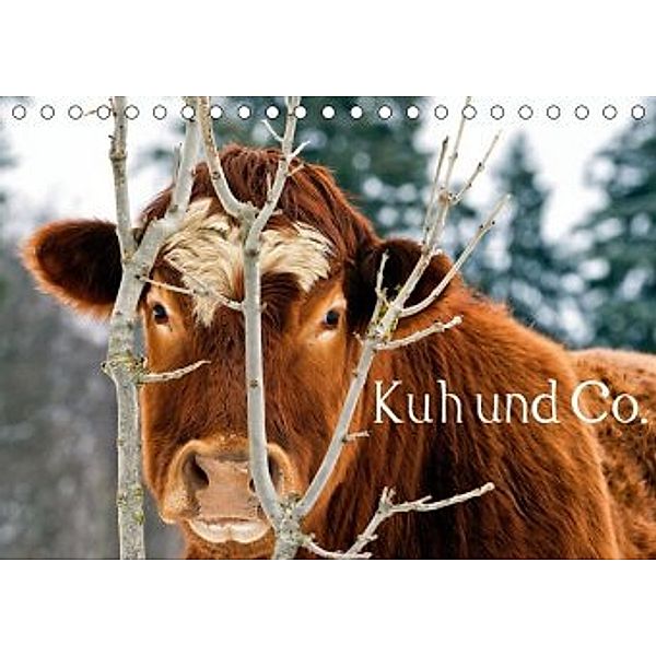 Kuh und Co. (Tischkalender 2020 DIN A5 quer), E. Ehmke