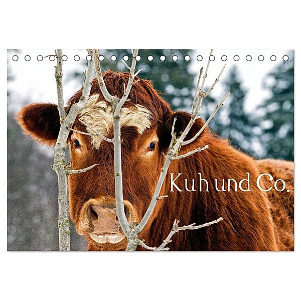 Kuh und Co. (Tischkalender 2024 DIN A5 quer), CALVENDO Monatskalender, E. Ehmke