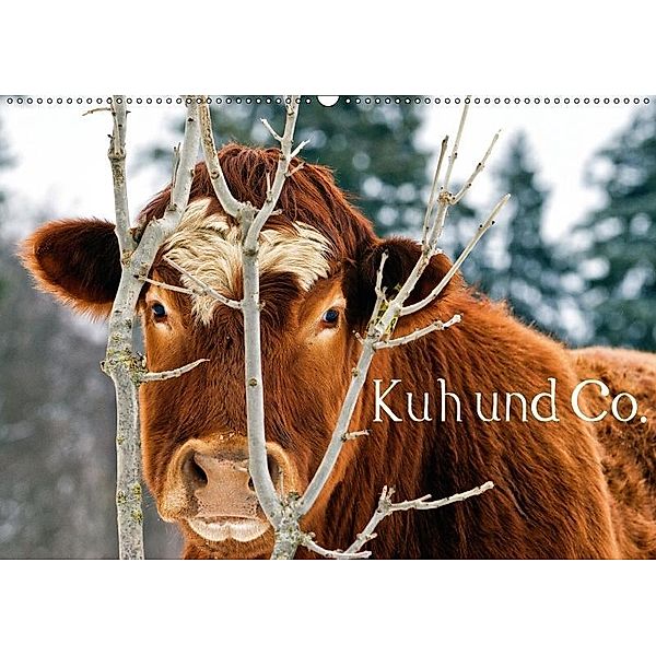 Kuh und Co. (Wandkalender 2017 DIN A2 quer), E. Ehmke