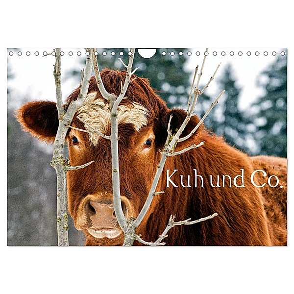 Kuh und Co. (Wandkalender 2024 DIN A4 quer), CALVENDO Monatskalender, E. Ehmke