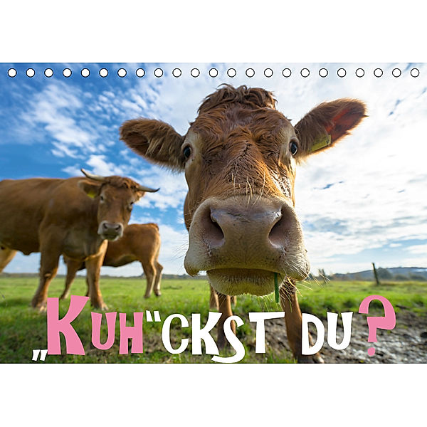 Kuhckst du? (Tischkalender 2019 DIN A5 quer), Gregor Herzog