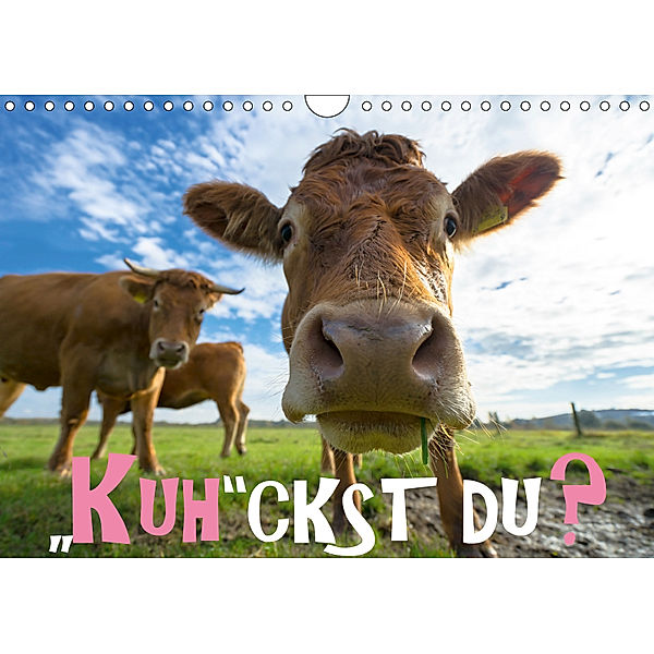 Kuhckst du? (Wandkalender 2019 DIN A4 quer), Gregor Herzog