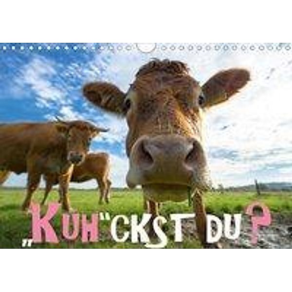 Kuhckst du? (Wandkalender 2021 DIN A4 quer), Gregor Herzog