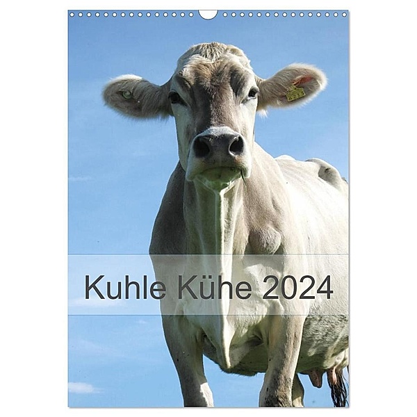 Kuhle Kühe 2024 (Wandkalender 2024 DIN A3 hoch), CALVENDO Monatskalender, Monika Dietsch