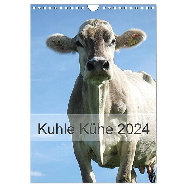 Kuhle Kühe 2024 (Wandkalender 2024 DIN A4 hoch), CALVENDO Monatskalender, Monika Dietsch