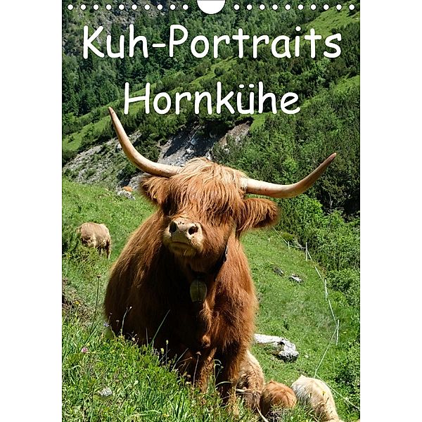 Kuhportraits Hornkühe (Wandkalender 2021 DIN A4 hoch), Stefanie Goldscheider
