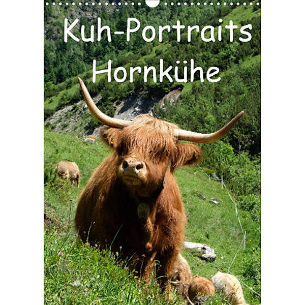 Kuhportraits Hornkühe (Wandkalender 2022 DIN A3 hoch), Stefanie Goldscheider