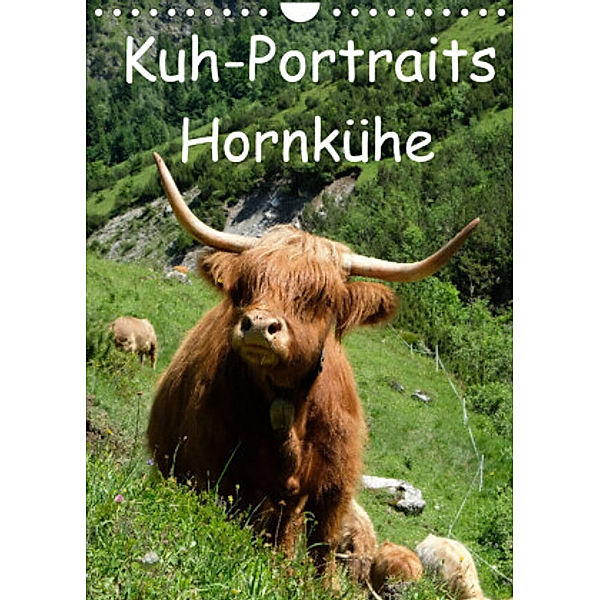 Kuhportraits Hornkühe (Wandkalender 2022 DIN A4 hoch), Stefanie Goldscheider