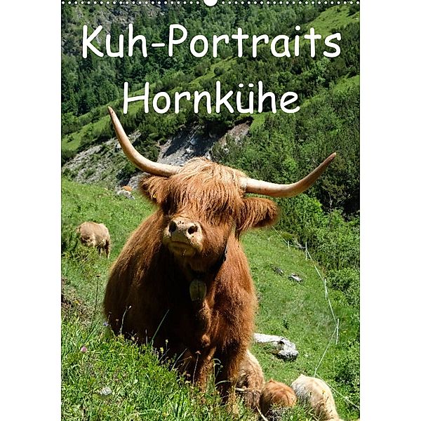 Kuhportraits Hornkühe (Wandkalender 2023 DIN A2 hoch), Stefanie Goldscheider