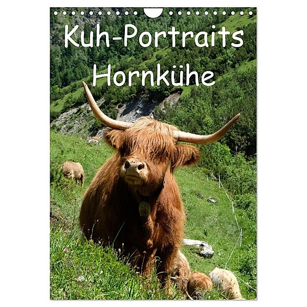 Kuhportraits Hornkühe (Wandkalender 2024 DIN A4 hoch), CALVENDO Monatskalender, Stefanie Goldscheider