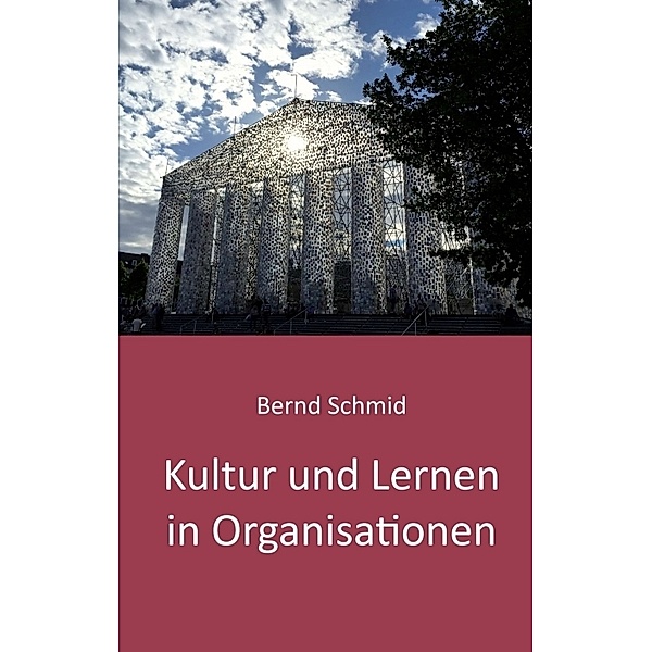 Kultur und Lernen in Organisationen, Bernd Schmid