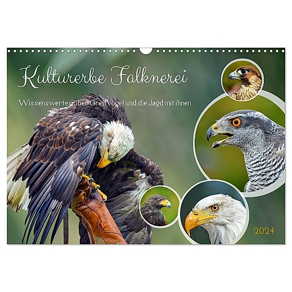Kulturerbe Falknerei (Wandkalender 2024 DIN A3 quer), CALVENDO Monatskalender, Claudia Kleemann