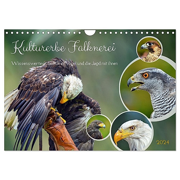 Kulturerbe Falknerei (Wandkalender 2024 DIN A4 quer), CALVENDO Monatskalender, Claudia Kleemann