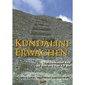 Kundalini-Erwachen Buch von Birgit Hassenkamp versandkostenfrei bestellen