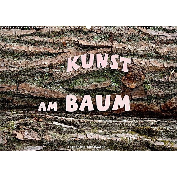 Kunst am Baum (Wandkalender 2020 DIN A2 quer), Udo Haafke