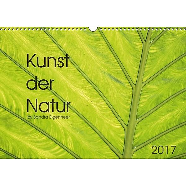 Kunst der Natur (Wandkalender 2017 DIN A3 quer), Sandra Eigenheer