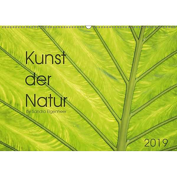 Kunst der Natur (Wandkalender 2019 DIN A2 quer), Sandra Eigenheer