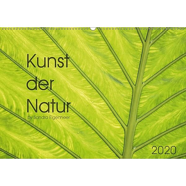 Kunst der Natur (Wandkalender 2020 DIN A2 quer), Sandra Eigenheer