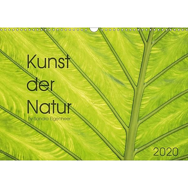 Kunst der Natur (Wandkalender 2020 DIN A3 quer), Sandra Eigenheer