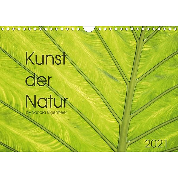 Kunst der Natur (Wandkalender 2021 DIN A4 quer), Sandra Eigenheer