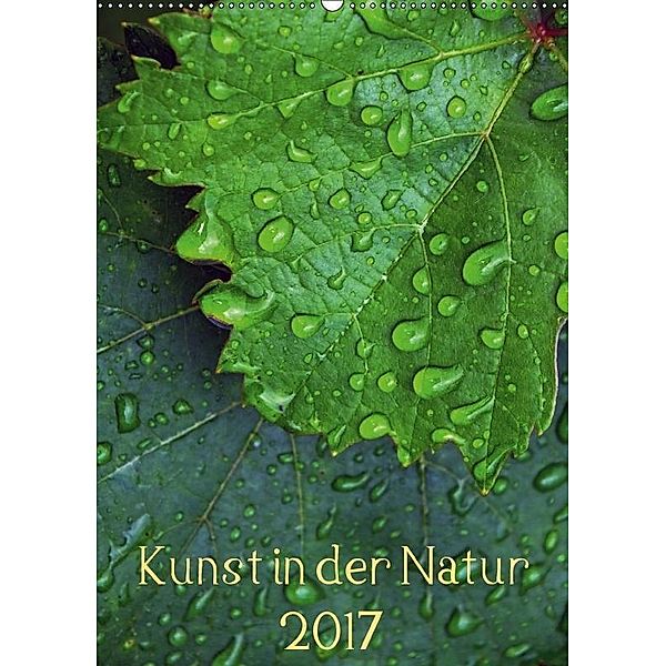 Kunst in der Natur (Wandkalender 2017 DIN A2 hoch), Dagmar Laimgruber