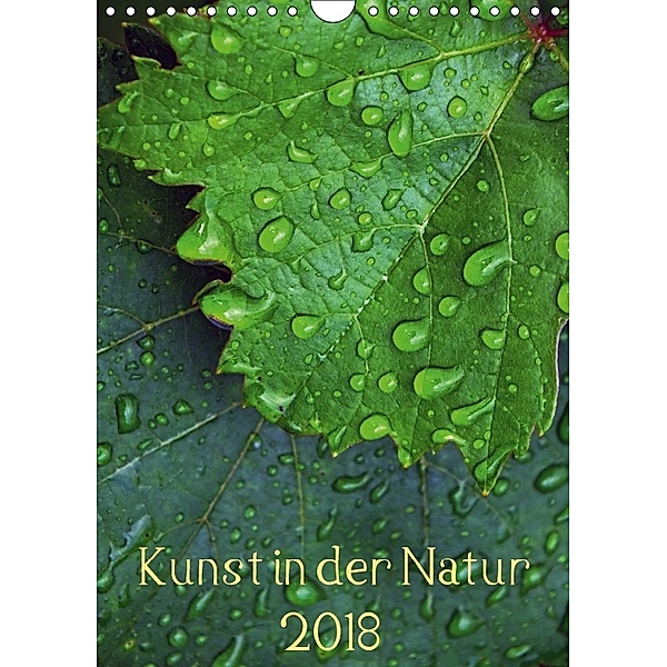 Kunst in der Natur (Wandkalender 2018 DIN A4 hoch), Dagmar Laimgruber