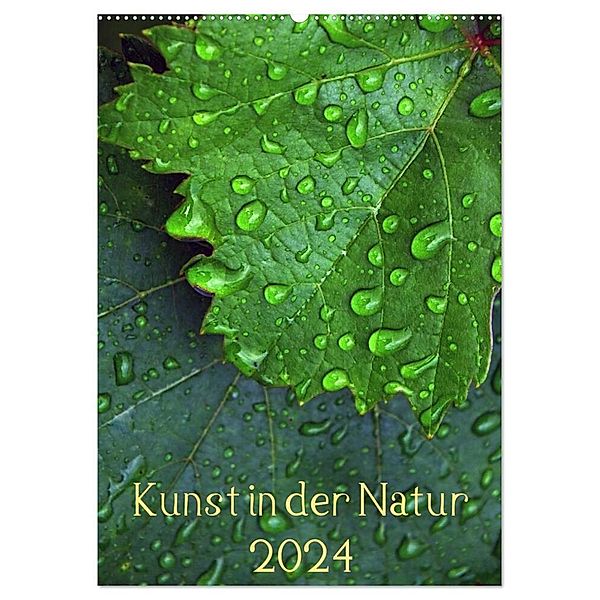 Kunst in der Natur (Wandkalender 2024 DIN A2 hoch), CALVENDO Monatskalender, Dagmar Laimgruber