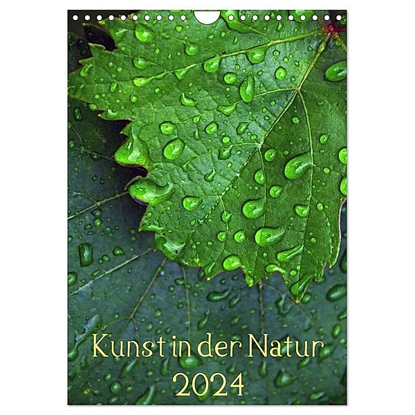 Kunst in der Natur (Wandkalender 2024 DIN A4 hoch), CALVENDO Monatskalender, Dagmar Laimgruber