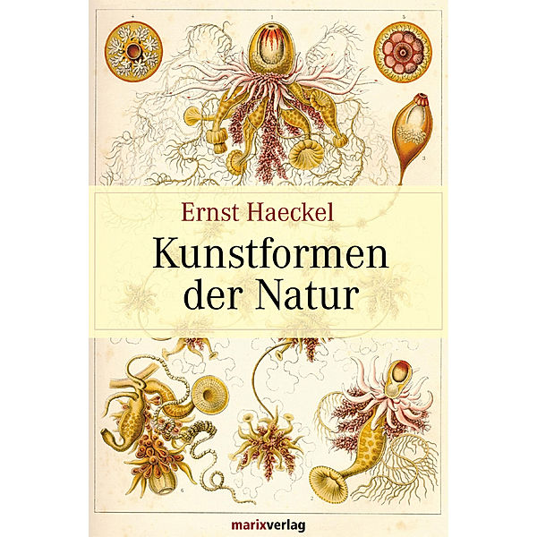 Kunstformen der Natur, Ernst Heinrich Haeckel