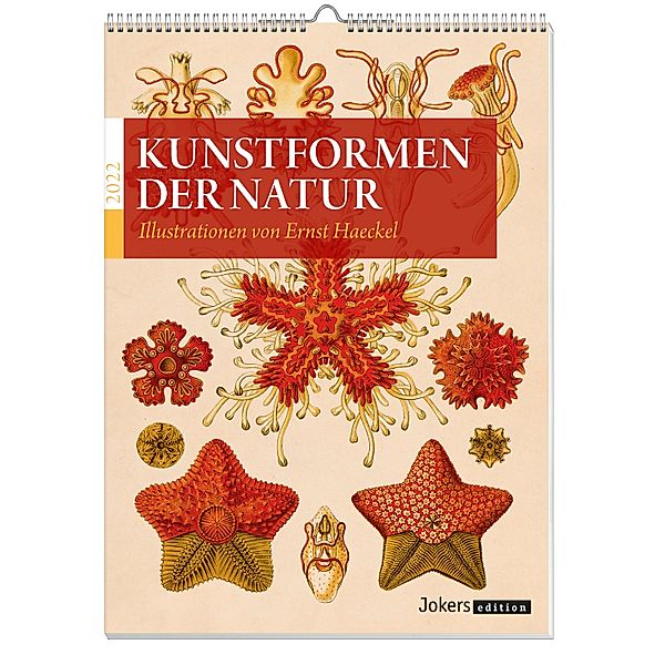 Kunstformen der Natur Kalender 2022