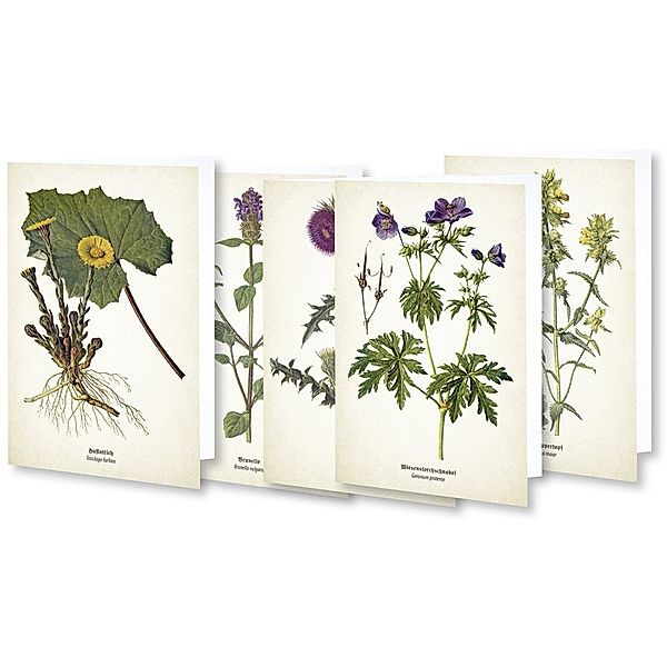 Kunstklappkarten Flora