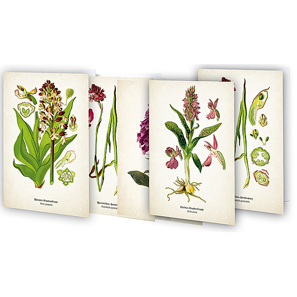 Kunstklappkarten Zauberhafte Orchideen