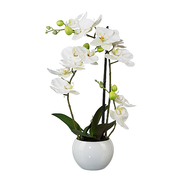 Kunstorchidee Phalaenopsis 3D-print im Keramiktopf, 42 cm (Farbe: weiß)