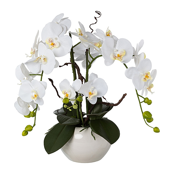 Kunstorchidee Phalaenopsis-Arrangement, 55 cm (Farbe: weiß)