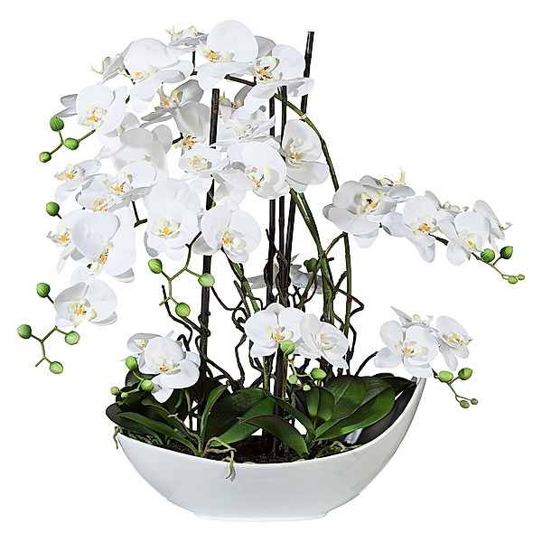 Kunstorchidee Phalaenopsis-Arrangement in Keramikschale, 68 cm (Farbe: weiß)