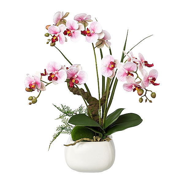 Kunstorchidee Phalaenopsis im Keramiktopf, 46 cm (Farbe: lila)