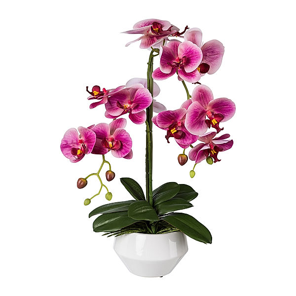 Kunstorchidee Phalaenopsis im Keramiktopf, 52 cm (Farbe: fuchsia)