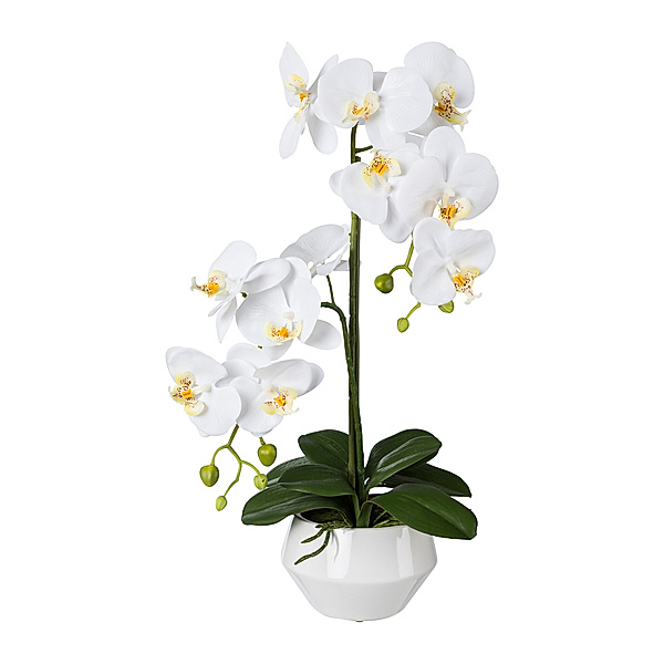 Kunstorchidee Phalaenopsis im Keramiktopf, 52 cm (Farbe: weiß)