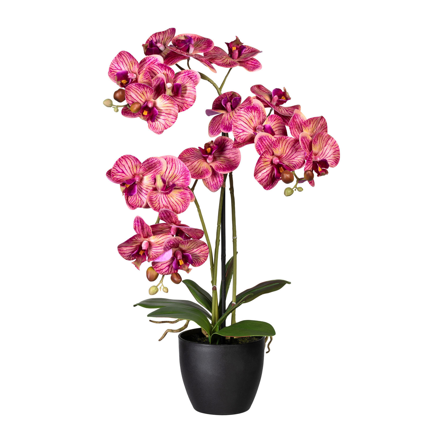 Kunstorchidee Phalaenopsis im Kunststofftopf, 65 cm, 3 Zweige Farbe: lila