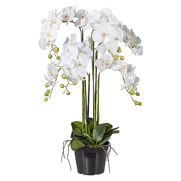 Kunstorchidee Phalaenopsis im Kunststofftopf, weiß (Größe: 90 cm)