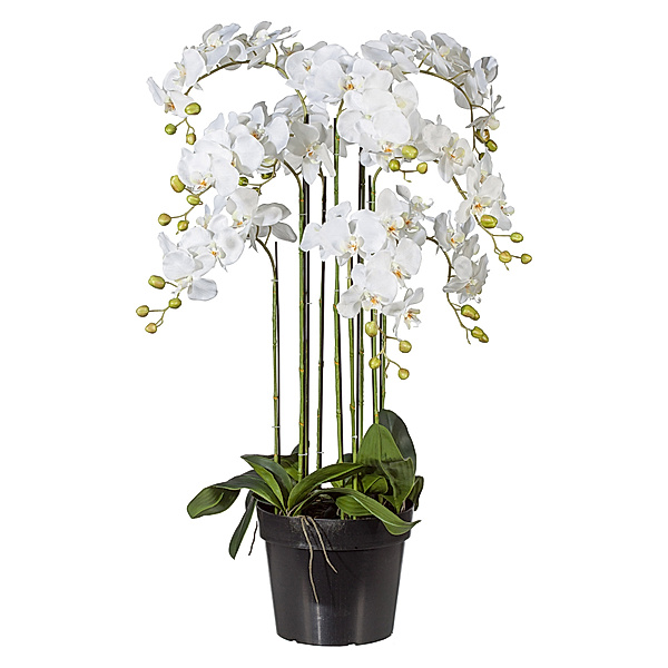 Kunstorchidee Phalaenopsis im Kunststofftopf, weiß (Größe: 110 cm)